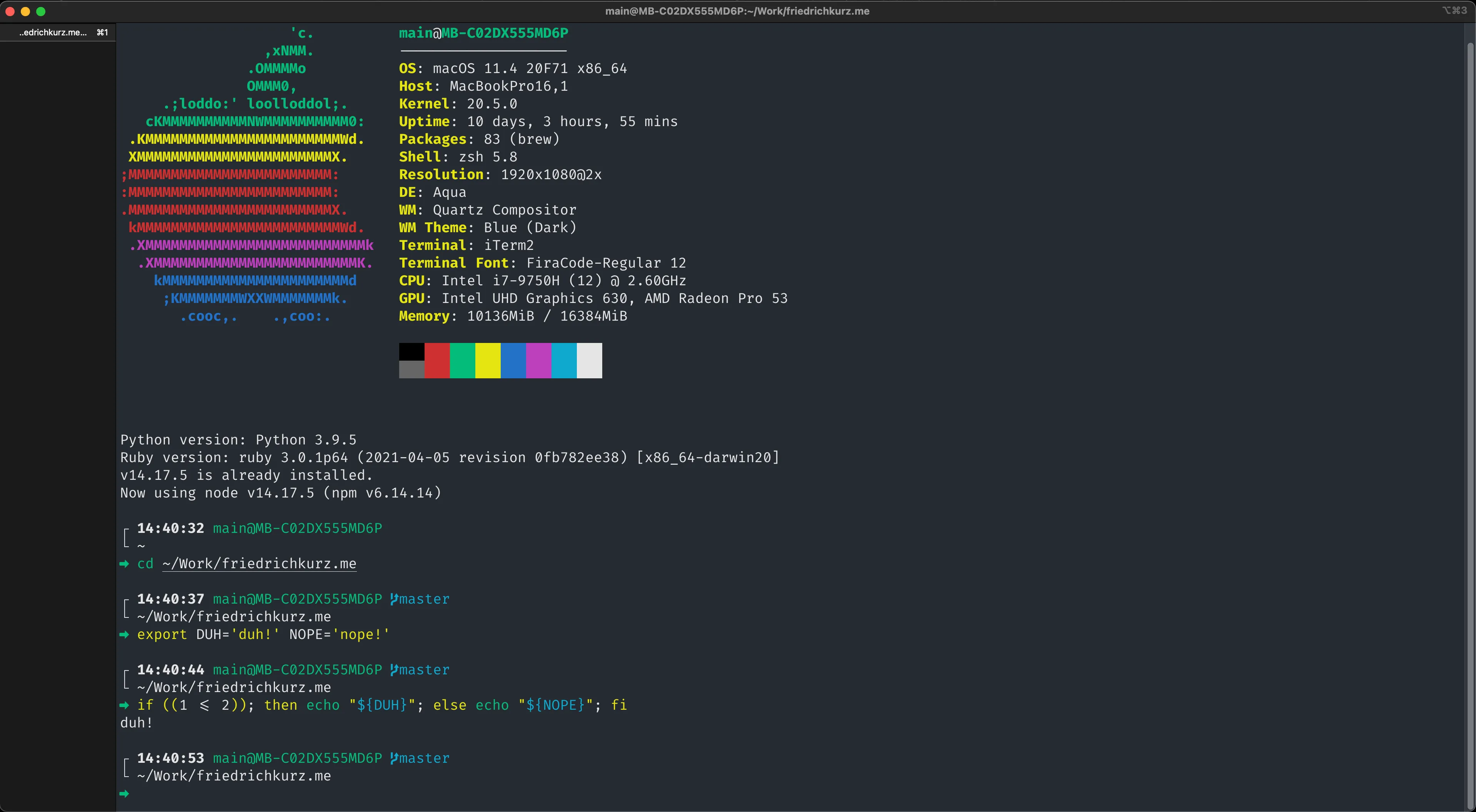 ZSH, Oh My ZSH, Starship full example