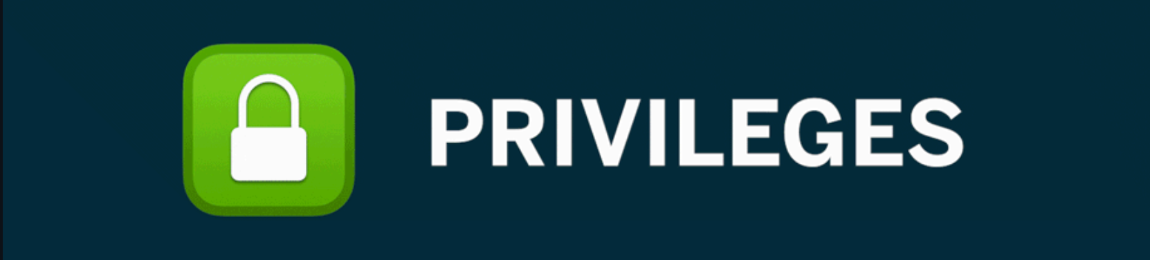 Image of the SPA Privileges app.