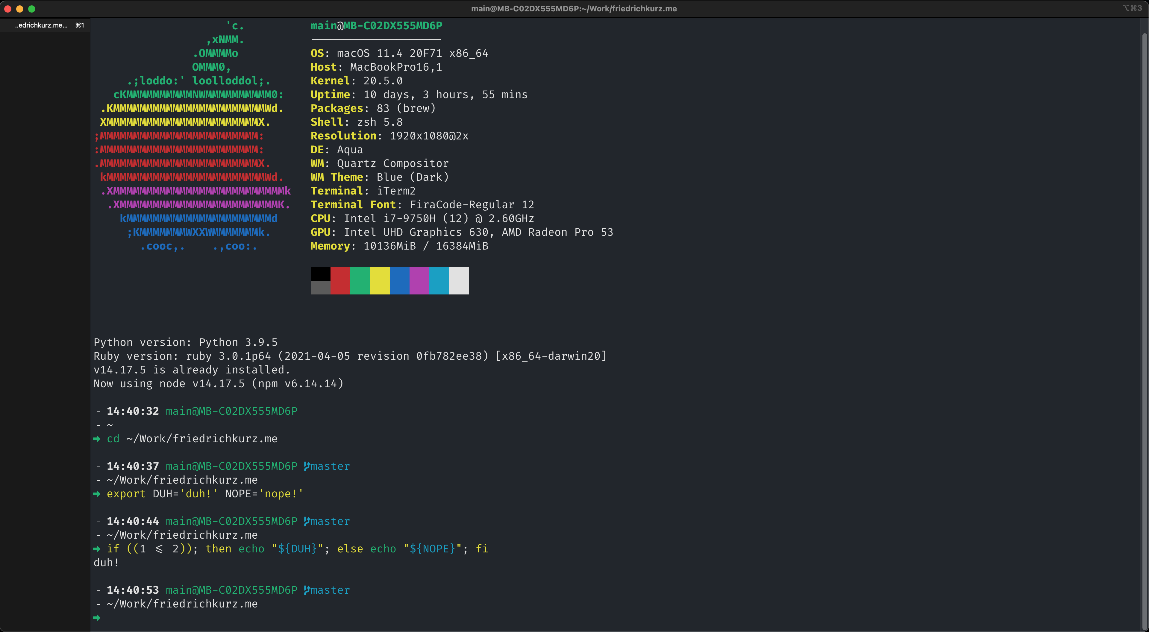 ZSH, Oh My ZSH, Starship full example